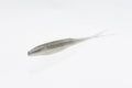 SUPER FLUKES 5 1/4"