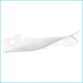SAKAMATA SHAD 5" WHITE SOLID
