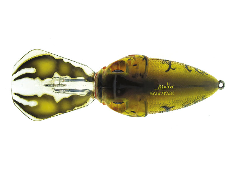 MOLIX - SCULPO DR RATTLIN'