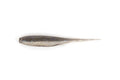 HART MICRO DMK 4" ELECTRIC SHAD